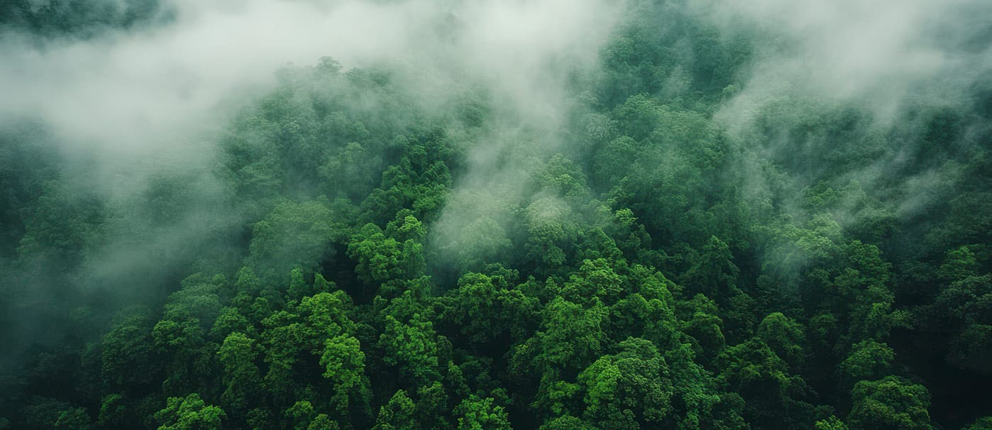 Paneles-madera-acusticos-woodslines